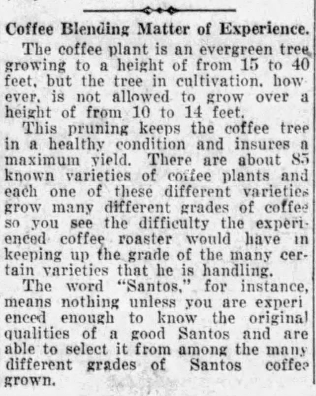 Coffee blending matter of experience — San Antonio Light, 26 Aug 1923 Short article on coffee tree, varieties, and blending; San Antonio Light, 26 Aug 1923, page 63