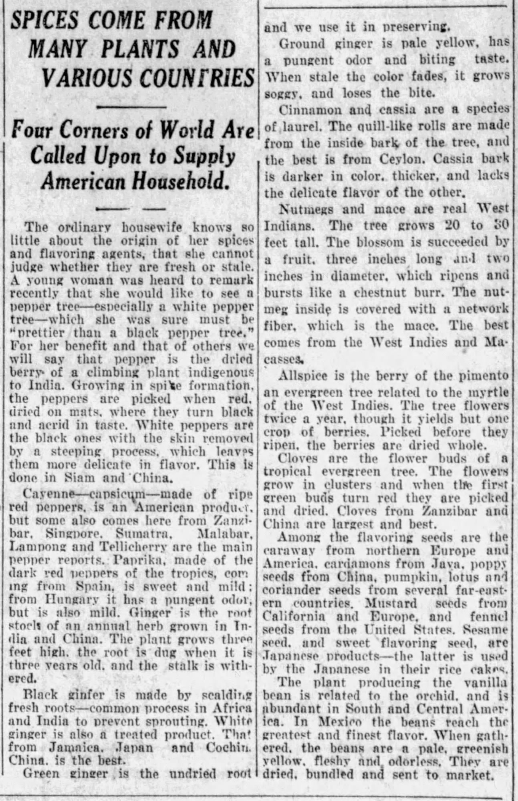 Spices come from many plants — San Antonio Light, 26 Aug 1923 Two-column feature “Spices Come From Many Plants and Various Countries” with subhead on world sources; San Antonio Light, 26 Aug 1923, page 63